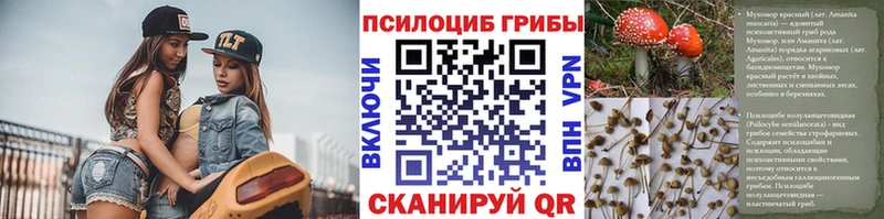 Купить закладки  Холм  Псилоцибиновые грибы ЛСД 